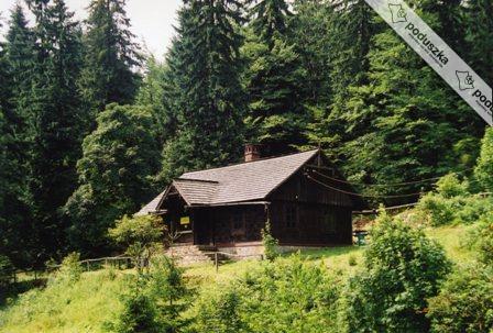 Forest Chamber on Przysłop